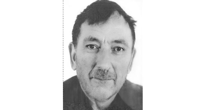 Kestiği ağacın altında kalan yaşlı adam hayatını kaybetti