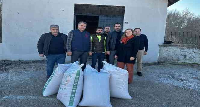 Samsun'da ‘çok yıllık yem bitkileri örnek ekim tarlaları' kurulacak