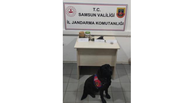 19 Mayıs'ta uyuşturucu ve tabanca ele geçirildi