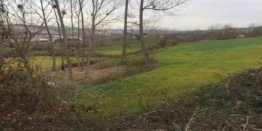 Arpada külleme hastalığına karşı ilaçlama uyarısı