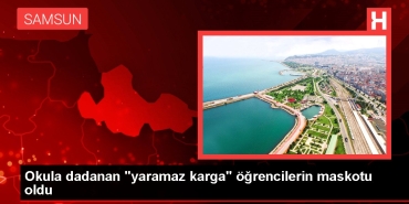okula-dadanan-yaramaz-karga-ogrencilerin-maskotu-oldu-rBD9buBB.jpg