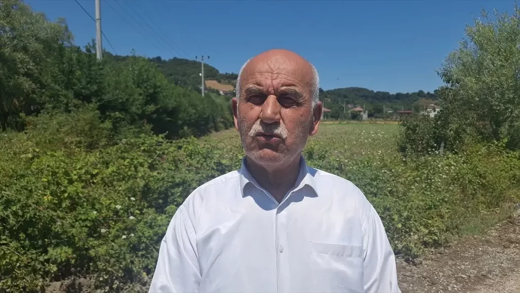 Bafra'da Su Taşkını Tarım Arazilerine Zarar Verdi