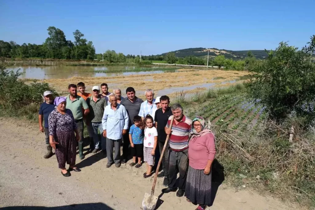 Bafra'da Su Taşkını Üreticileri Mağdur Etti