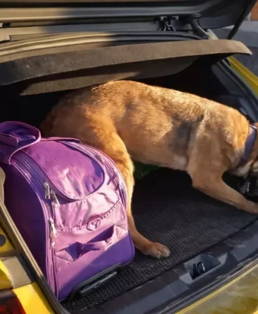 Otomobilde uyuşturucu ile yakalanan 5 kişiye gözaltı