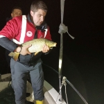 Misina ağıyla kaçak olarak yakalanan 60 kilo sazan göle salındı