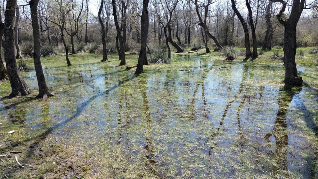 UNESCO listesindeki Kızılırmak Deltası