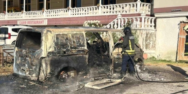 Park halindeki panelvan alevlere teslim oldu