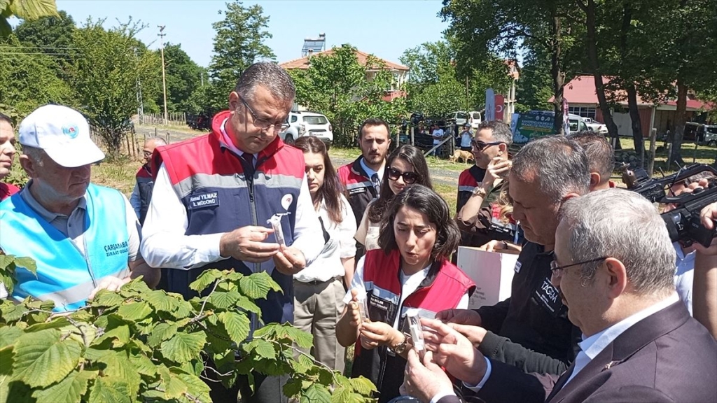 Samsun