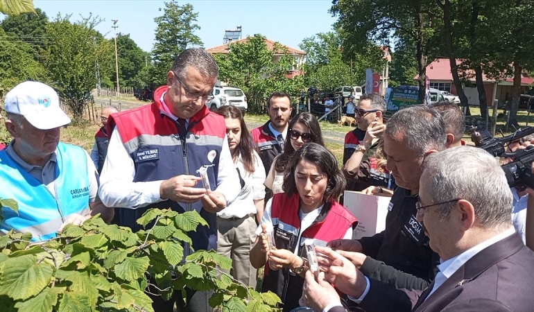 Samsun