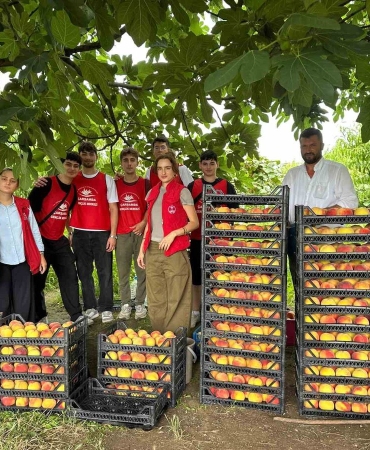 Çarşamba’da ‘Gönüllü Hasat Etkinliği’