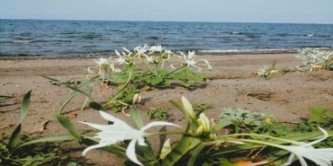 Çevre Kanunu’nu ihlal eden kişiye 699 bin TL idari para cezası