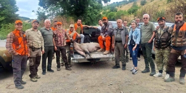 Fındık sezonu öncesi domuz alarmı: Avcılar harekete geçti