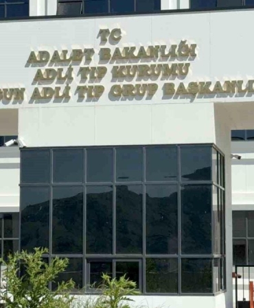 Ihlamur ağacından düşen yaşlı adam hayatını kaybetti