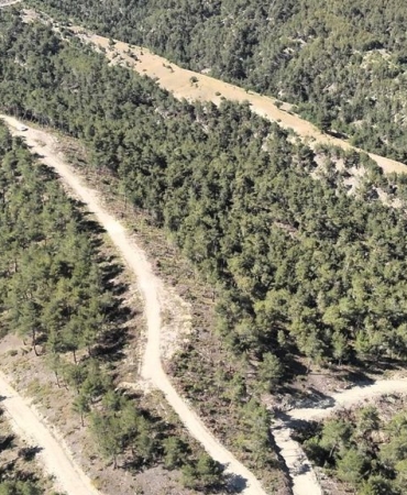 Orman köylülerine endüstriyel odundan 1 milyar TL’lik katkı