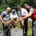 Samsun’da coğrafi işaretli Salıpazarı kestane balında hasat başladı