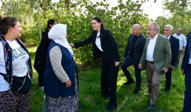 AK Parti