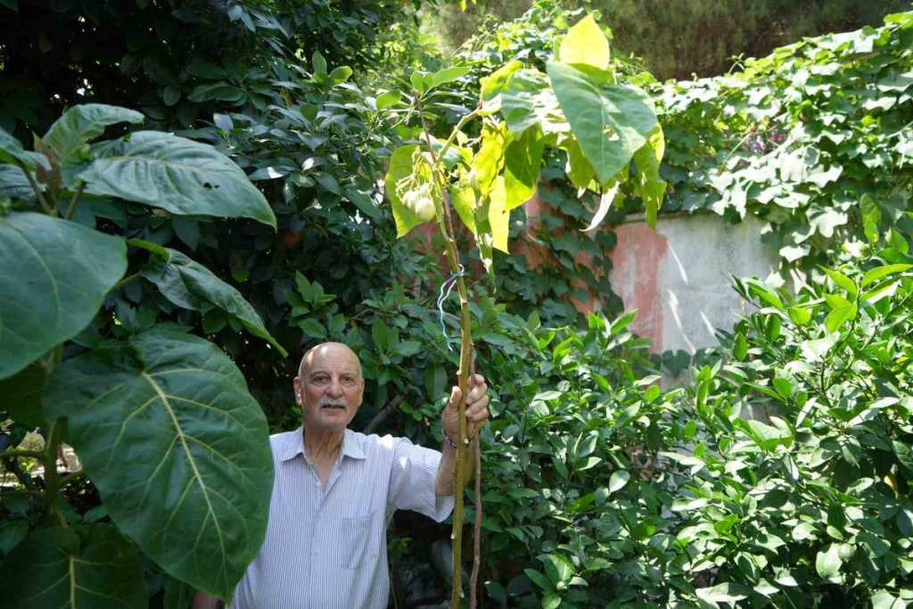 Emekli öğretmenin dünya bahçesi: 120 tür Karadeniz