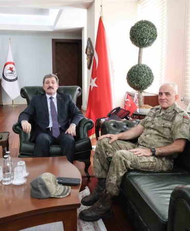 Gazi Tümgeneral Davut Ala, Samsun Valisi