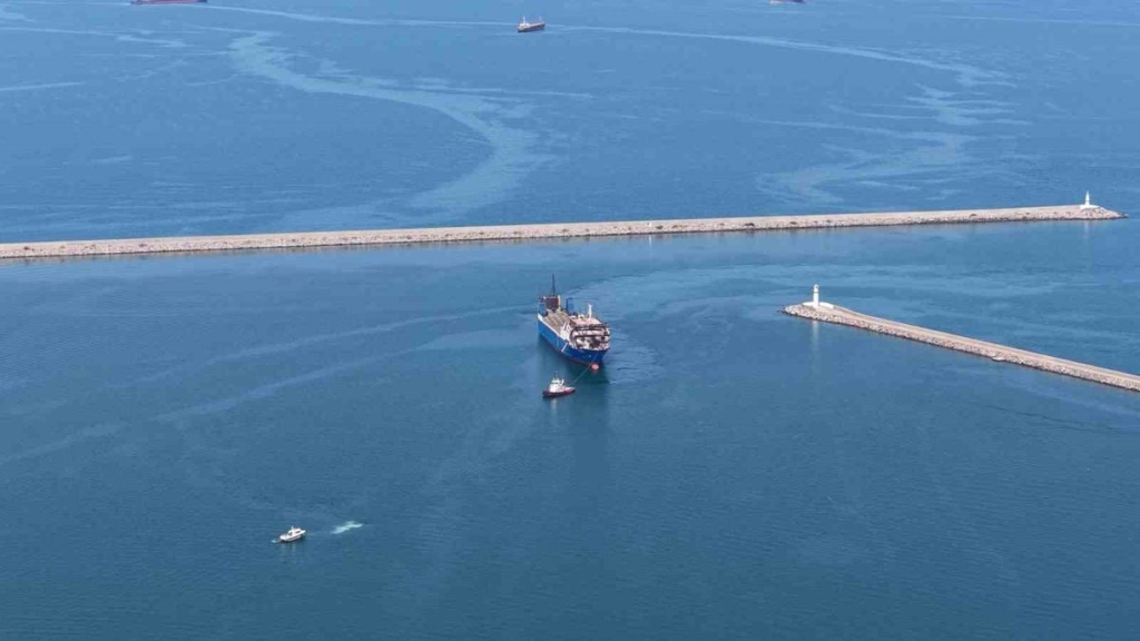 Novorossiysk Açıklarında Dron Saldırısına Uğrayan Türk Gemisi Samsun