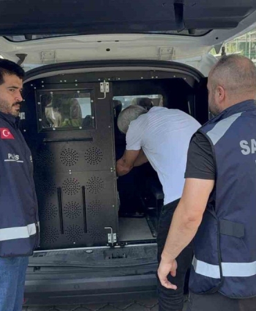 Samsun