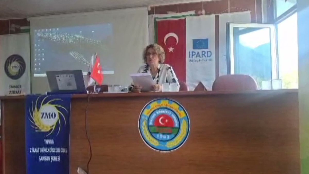 Samsun
