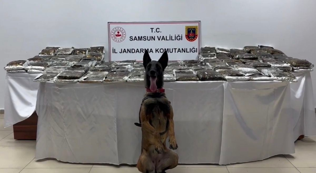 Samsun’da tıra gizlenmiş 132 kilo toz esrar ele geçirildi