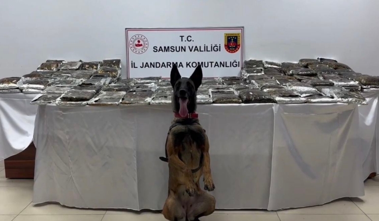 Samsun’da tıra gizlenmiş 132 kilo toz esrar ele geçirildi