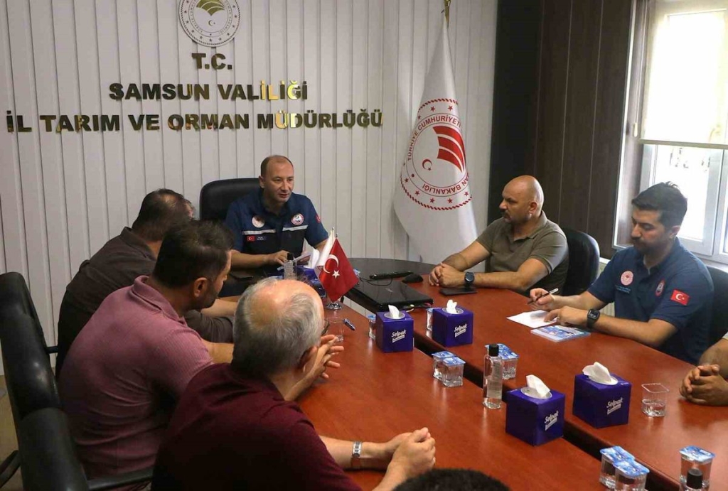 Samsun