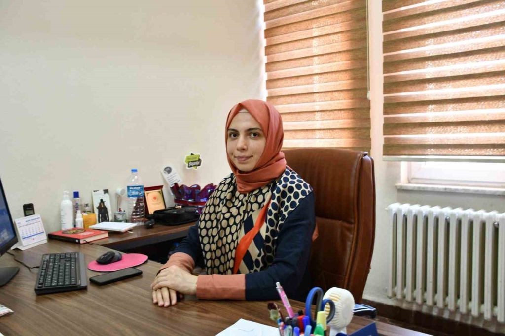 Vezirköprü İcra Dairesi Müdürlüğü