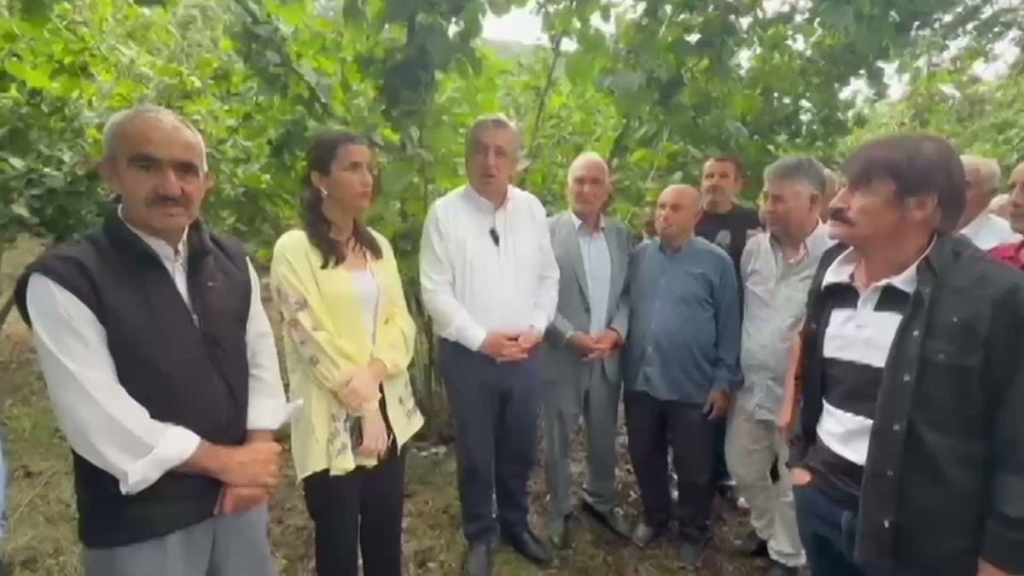 YENİ Parti Milletvekili Çan: Fındık Üreticisi 2B Arazisi ve Maliyet Baskısı Altında