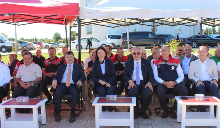 Bafra Ovası