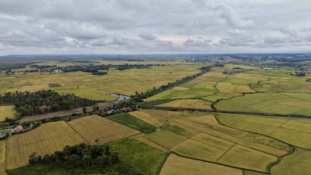 Samsun