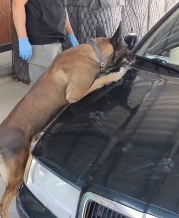 Samsun’da peş peşe uyuşturucu operasyonları: 1 kilo 225 gram metamfetamin ele geçirildi