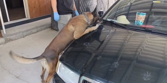 Samsun’da peş peşe uyuşturucu operasyonları: 1 kilo 225 gram metamfetamin ele geçirildi