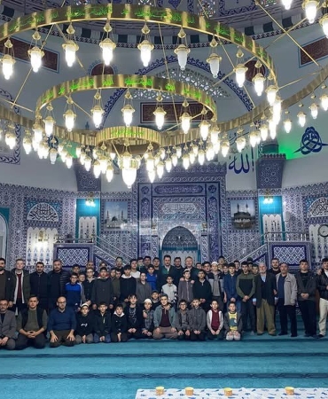 Kavak