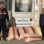 Samsun Çarşamba