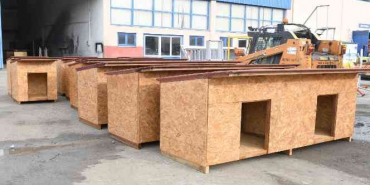 Atıklar ahşaplar sokak hayvanlarına yuva oldu