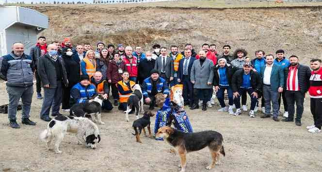 Futbol ve basketbolculardan sokak hayvanlarına destek