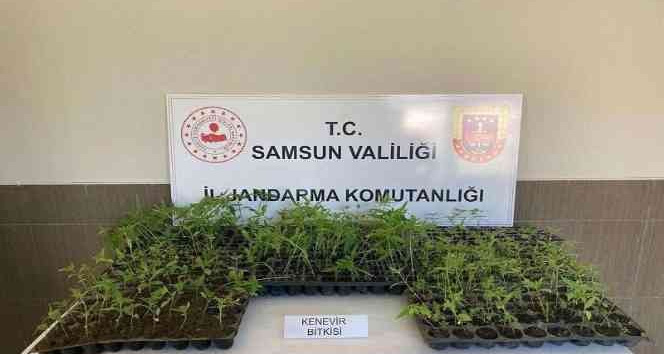 16 olayda 22 şüpheli gözaltına alındı
