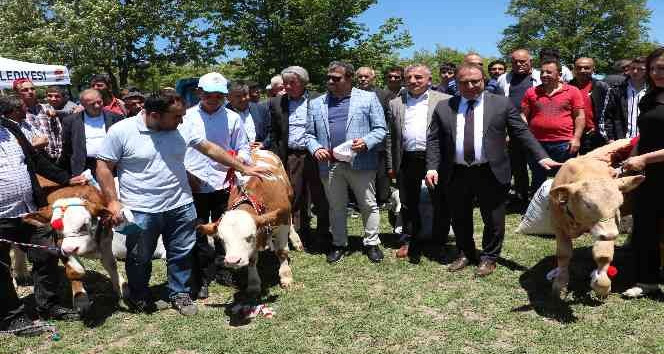 Havza'da yayla şenliği