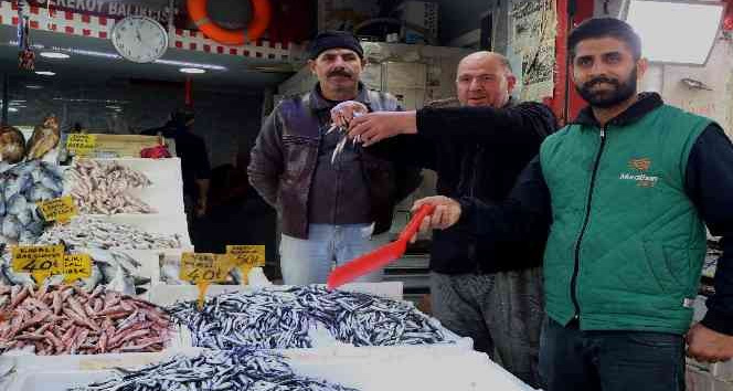 Palamuda doyan vatandaş hamsiye yöneldi