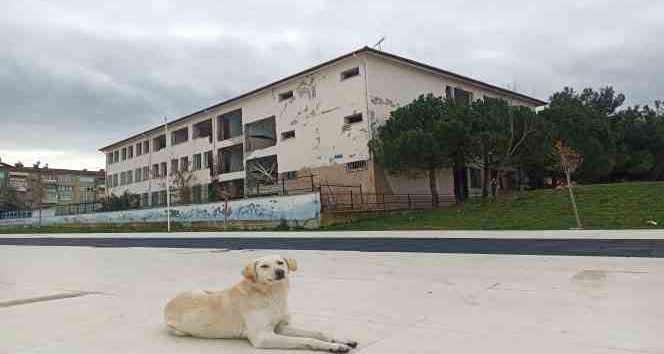 Samsun'da okul binaları güçlendiriliyor