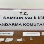 Samsun'da uyuşturucuyla yakalanan şahıs gözaltına alındı