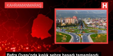 bafrada-kislik-zerzevat-hasadi-tamamlandi-369EnO6J.jpg
