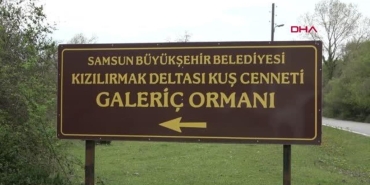 galeric-subasar-ormanlari-samsunun-tabiat-olaganustusu-FUqBtZ5D.jpg