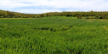 tarim-yerlerinde-taban-patlatmasinin-degeri-8OOUxJ1B.jpg