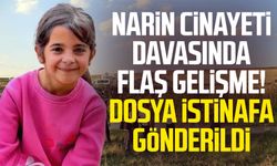 Narin cinayeti davasında flaş gelişme! Dosya istinafa gönderildi