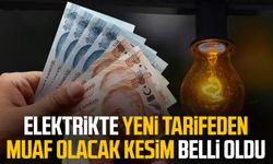 Elektrikte yeni tarifeden muaf olacak kesim belli oldu