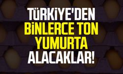 Türkiye'den binlerce ton yumurta alacaklar!