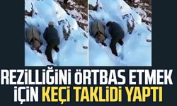 Rezilliğini örtbas etmek için keçi taklidi yaptı